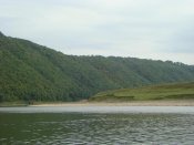 DSC04665.jpg