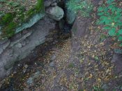 DSC04713.jpg