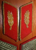 IMG_4771.JPG