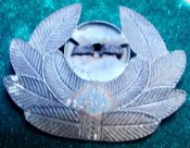 DSC06555.JPG