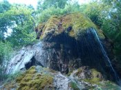 DSC04817.jpg