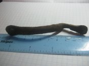 178700_1477068501.jpg