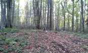 20161015_170802.jpg