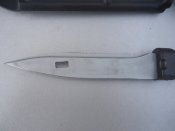 DSC07008.JPG