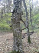 DSC_0009.jpg