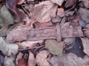 DSC01691.JPG
