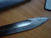 DSC05361.JPG