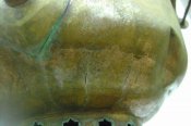 DSC02014.JPG