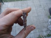 DSC03280.JPG