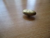 DSC05095.JPG