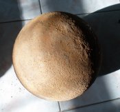 SAM_3822.JPG