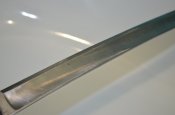 DSC_0555.JPG