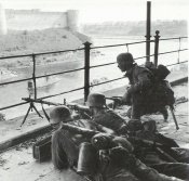 mg025.jpg