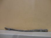 DSC00700.JPG