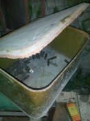 IMG_20160906_204832.jpg