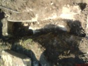 DSC00713.jpg