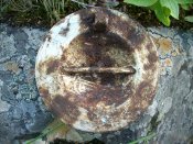 DSCN1194.jpg