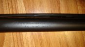 DSC03817.JPG