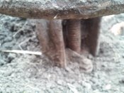 20161027_141247.jpg