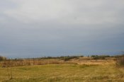 IMG_8324.jpg