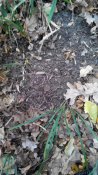 20161027152202.jpg
