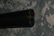 DSC_9992.JPG
