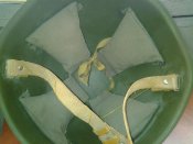 20161030_120217.jpg