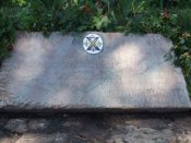DSCF3733_800x600.JPG