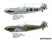 J88_LegionCondor(1).JPG