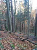 IMG_20161030_091349.jpg