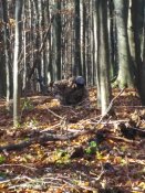IMG_20161030_100912.jpg