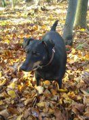 IMG_20161030_100916.jpg