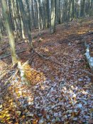 IMG_20161030_115057.jpg