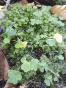 IMG_20161030_131946.jpg