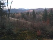 IMG_20161030_133206.jpg