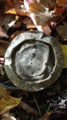 20161030_104250.jpg