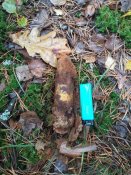 20161030_111144.jpg