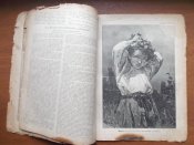 Журнал " Нива" № 29 1902 г