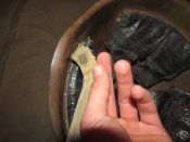 IMG_0629.JPG