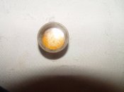 DSC09468.JPG