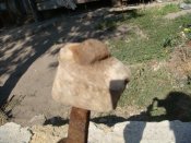 DSC00836.jpg