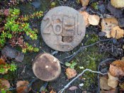 DSCN1317.jpg