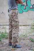 acu4.jpg