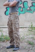 acu8.jpg