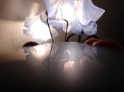IMG_20161018_215451335.jpg