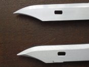 DSCI0951.jpg