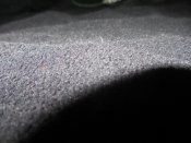 IMG_7054.JPG