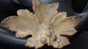 20160224_130622.jpg