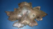 20160224_160143.jpg