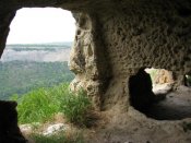 IMG_2295.jpg